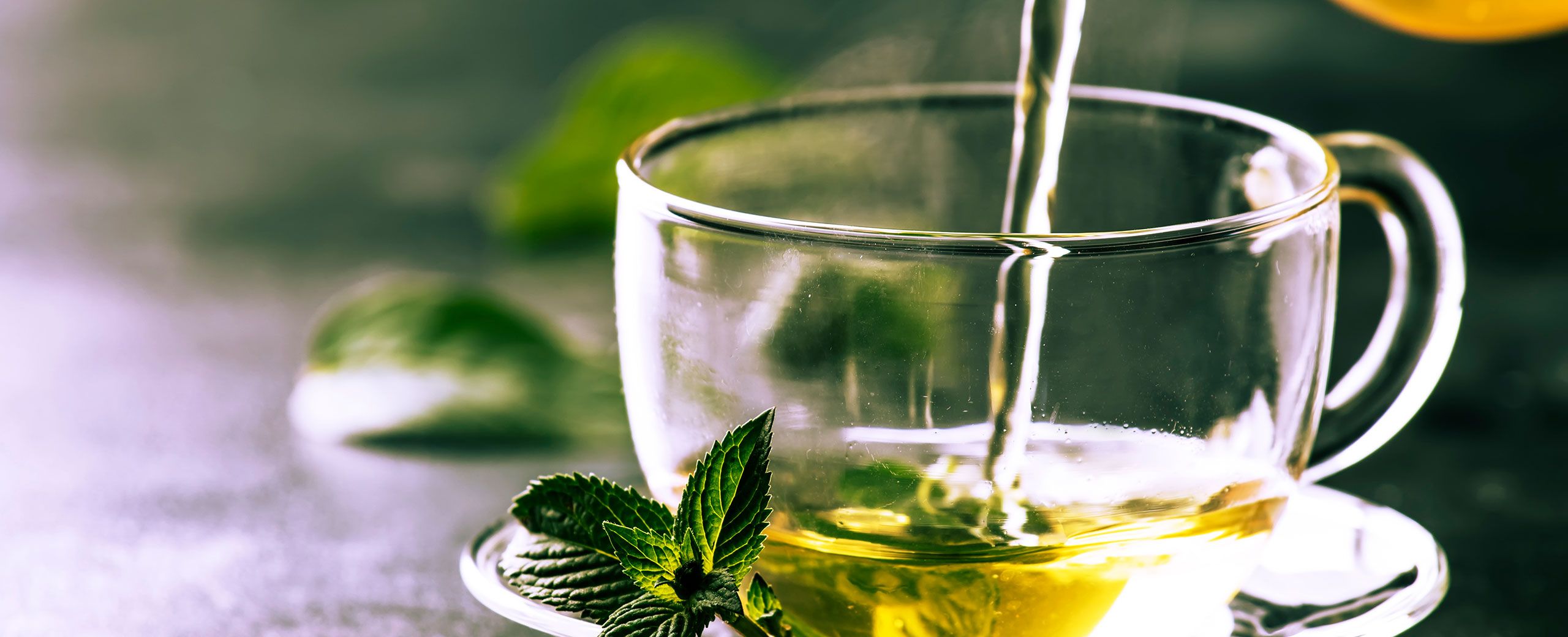 Porque o Chá Verde Tornou-se um Suplemento Vital